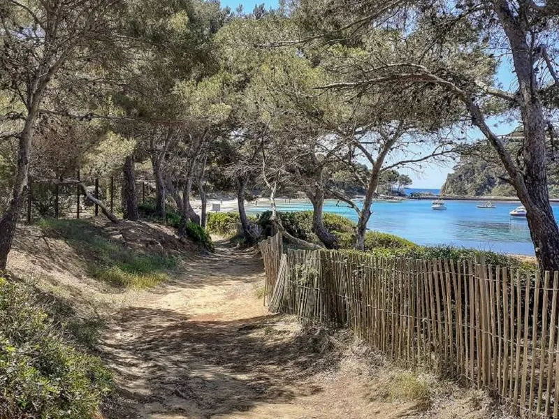 Sentier côtier menant à la plage