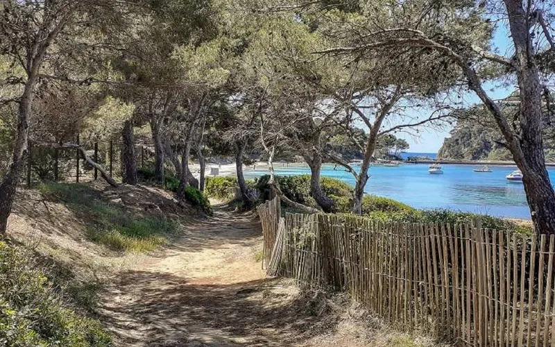 Plage de Cabasson